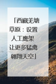 西藏羌塘草原：设置人工鹰架 让更多猛禽翱翔天空