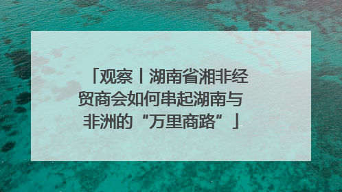 观察丨湖南省湘非经贸商会如何串起湖南与非洲的“万里商路”