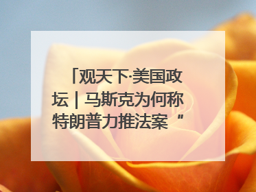 观天下·美国政坛｜马斯克为何称特朗普力推法案“令人作呕”