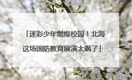 迷彩少年燃爆校园！北海这场国防教育展演太飒了