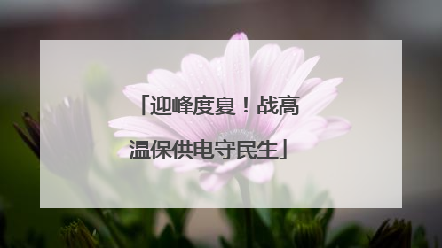 迎峰度夏！战高温保供电守民生