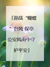 迎战“蝴蝶”台风 保亭公安风雨中守护平安