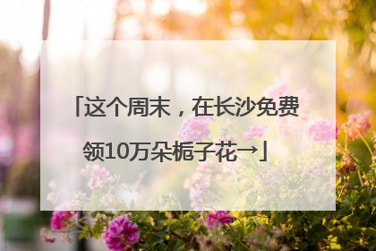 这个周末，在长沙免费领10万朵栀子花→