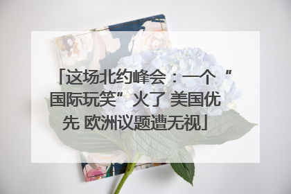 这场北约峰会：一个“国际玩笑”火了 美国优先 欧洲议题遭无视