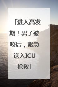 进入高发期！男子被咬后，紧急送入ICU抢救