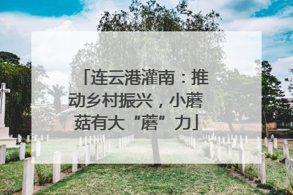 连云港灌南：推动乡村振兴，小蘑菇有大“蘑”力
