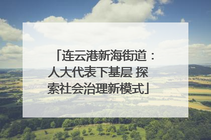连云港新海街道：人大代表下基层 探索社会治理新模式