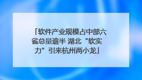 软件产业规模占中部六省总量逾半 湖北“软实力”引来杭州两小龙