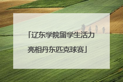 辽东学院留学生活力亮相丹东匹克球赛