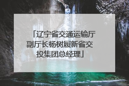 辽宁省交通运输厅副厅长杨树履新省交投集团总经理