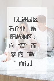 走进园区看企业｜衡阳蒸湘区：向“高”而攀 向“新”而行
