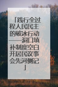 践行全过程人民民主的破冰行动——洞口填补制度空白开居民议事会先河侧记