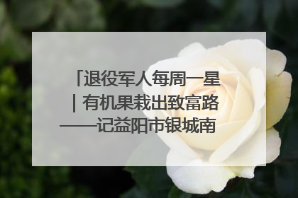 退役军人每周一星｜有机果栽出致富路——记益阳市银城南湖蔬果农民专业合作社总经理晏桂明