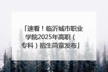 速看！临沂城市职业学院2025年高职（专科）招生简章发布
