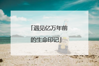遇见亿万年前的生命印记