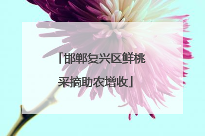 邯郸复兴区鲜桃采摘助农增收