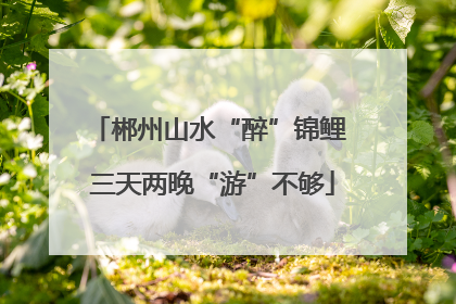 郴州山水“醉”锦鲤 三天两晚“游”不够