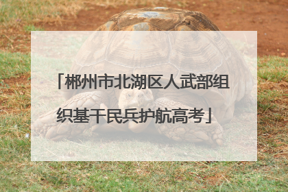 郴州市北湖区人武部组织基干民兵护航高考