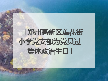 郑州高新区莲花街小学党支部为党员过集体政治生日