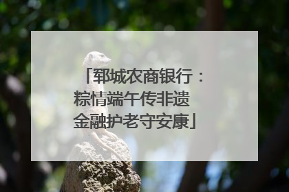 郓城农商银行：粽情端午传非遗 金融护老守安康