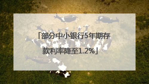 部分中小银行5年期存款利率降至1.2%