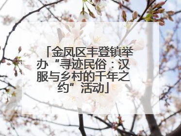 金凤区丰登镇举办“寻迹民俗：汉服与乡村的千年之约”活动