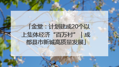 金堂：计划建成20个以上集体经济“百万村”｜成都县市新城高质量发展