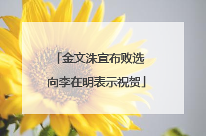 金文洙宣布败选 向李在明表示祝贺