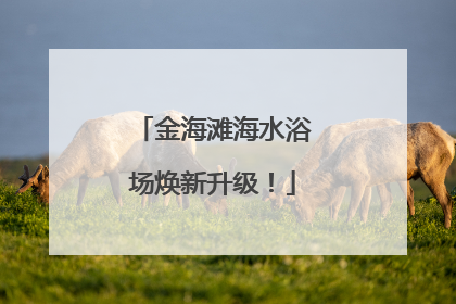 金海滩海水浴场焕新升级！