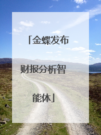 金蝶发布财报分析智能体