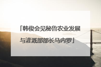 韩俊会见秘鲁农业发展与灌溉部部长马内罗