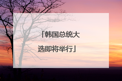 韩国总统大选即将举行