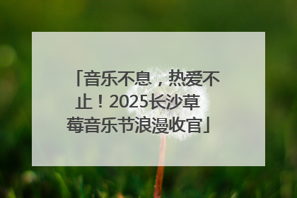 音乐不息，热爱不止！2025长沙草莓音乐节浪漫收官