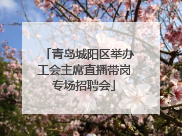青岛城阳区举办工会主席直播带岗专场招聘会