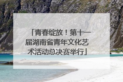 青春绽放！第十一届湖南省青年文化艺术活动总决赛举行