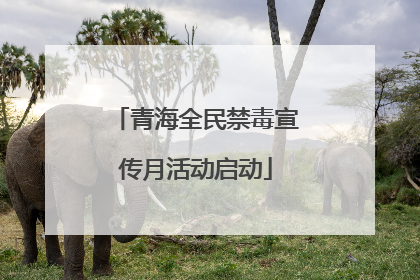 青海全民禁毒宣传月活动启动