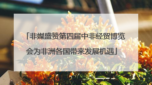 非媒盛赞第四届中非经贸博览会为非洲各国带来发展机遇