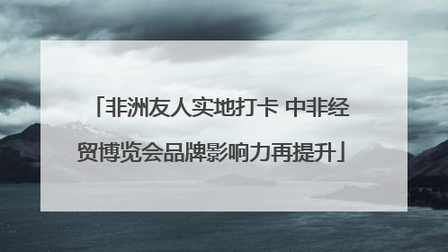 非洲友人实地打卡 中非经贸博览会品牌影响力再提升