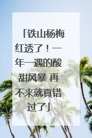 铁山杨梅红透了！一年一遇的酸甜风暴 再不来就真错过了