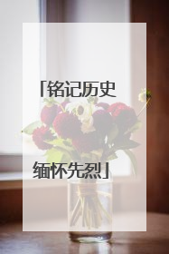 铭记历史 缅怀先烈