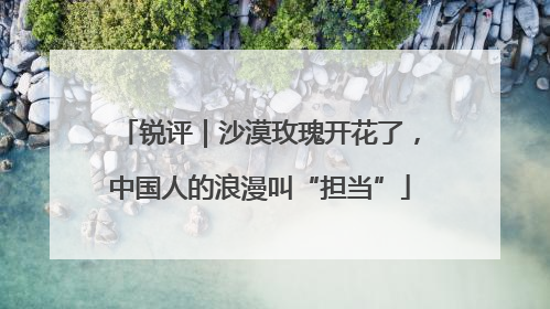 锐评｜沙漠玫瑰开花了，中国人的浪漫叫“担当”