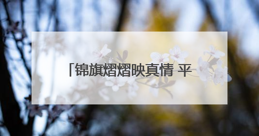 锦旗熠熠映真情 平安产险洛阳中心支公司理赔服务暖人心