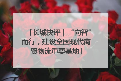 长城快评｜“向智”而行，建设全国现代商贸物流重要基地