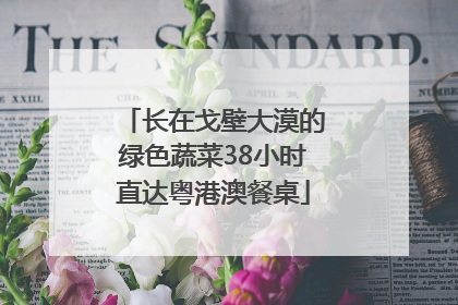 长在戈壁大漠的绿色蔬菜38小时直达粤港澳餐桌