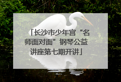长沙市少年宫“名师面对面”钢琴公益讲座第七期开讲
