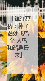 镇江高桥：种子落处飞鸟至 人鸟和谐趣景来
