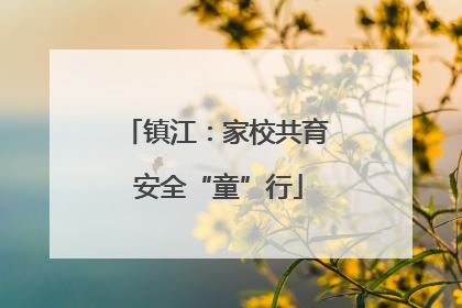 镇江：家校共育 安全“童”行
