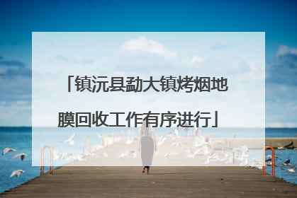 镇沅县勐大镇烤烟地膜回收工作有序进行