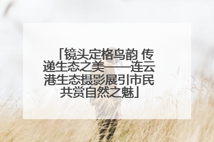 镜头定格鸟韵 传递生态之美——连云港生态摄影展引市民共赏自然之魅