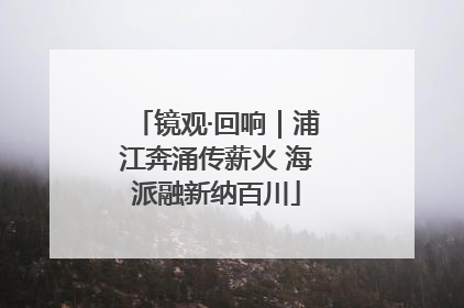 镜观·回响｜浦江奔涌传薪火 海派融新纳百川